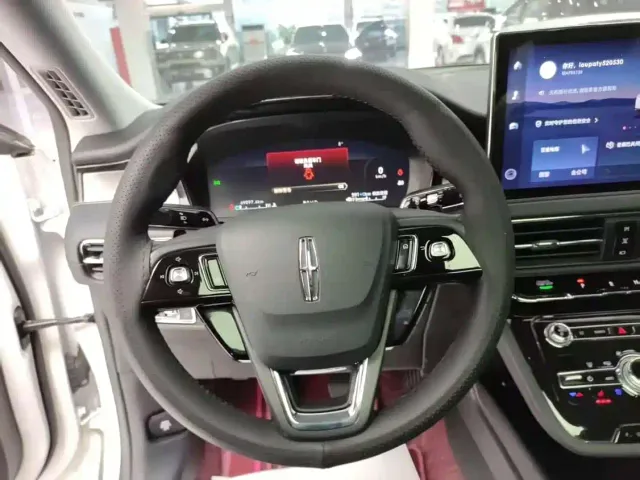 Lincoln Adventurer NEV — Фото автомобиля 12