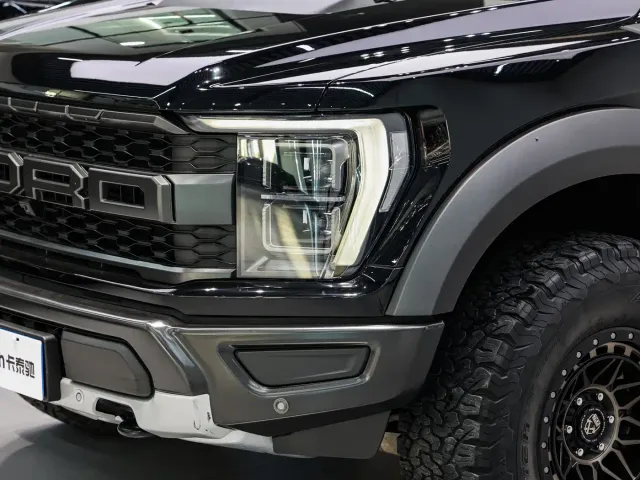 Ford F-150 Raptor — Фото автомобиля 8