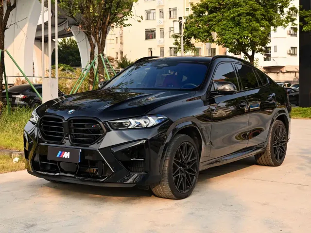 Фотография автомобиля — BMW X6 M