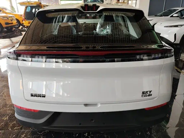 Dongfeng SKY EV01 — Фото автомобиля 5