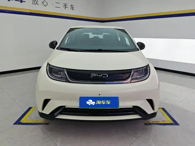 BYD Dolphin — Фото автомобиля 2