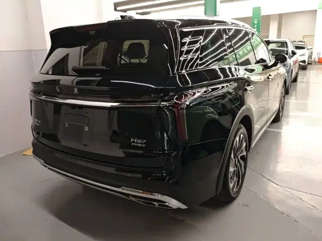 Hongqi Hongqi HS7 PHEV 2024 2.0T PHEV 4WD Flagship Edition 6-seater — Фото автомобиля 6