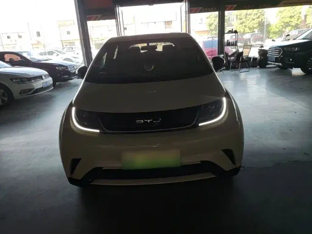 BYD Dolphin — Фото автомобиля 2