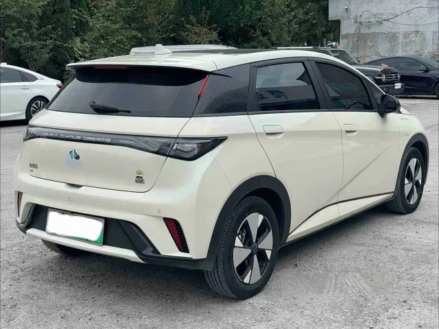 BYD Dolphin — Фото автомобиля 3