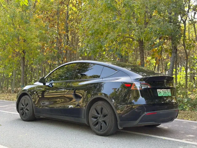 Tesla Model Y — Фото автомобиля 7