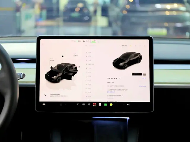 Tesla Model Y — Фото автомобиля 12