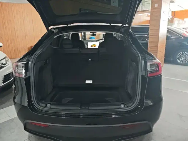 Tesla Model Y — Фото автомобиля 18