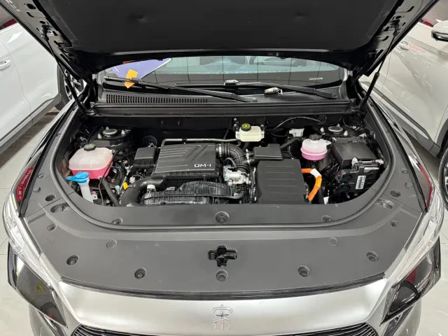 BYD Song Pro — Фото автомобиля 12