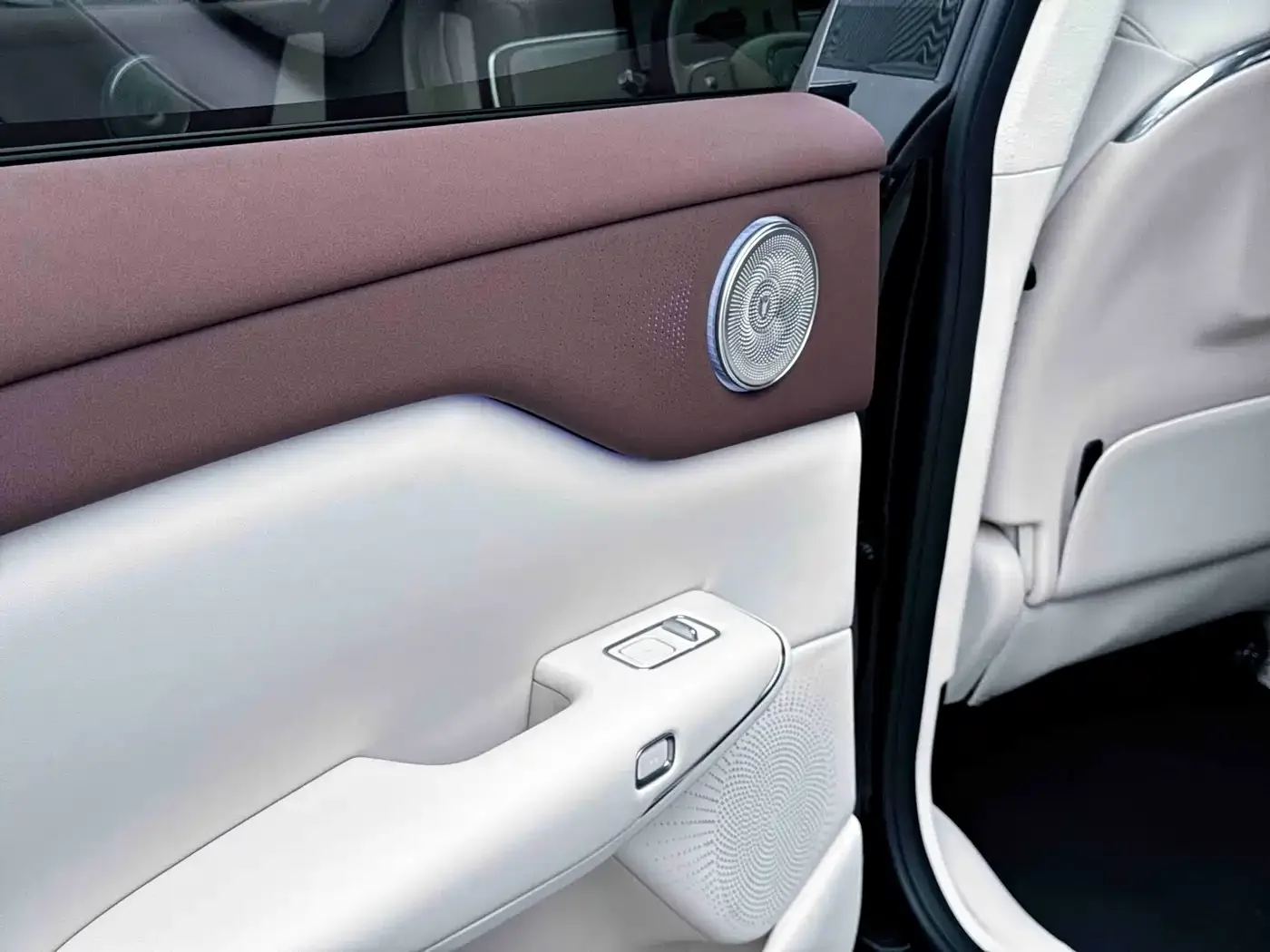 Voyah Auto Voyah Zhiyin 2025 Base — Фото автомобиля 12