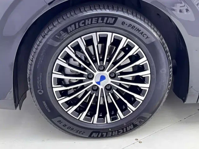 Denza D9 — Фото автомобиля 12