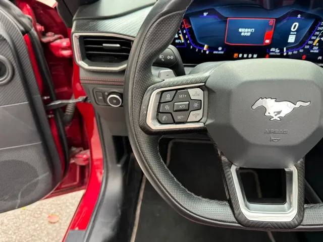 Ford Mustang — Фото автомобиля 11