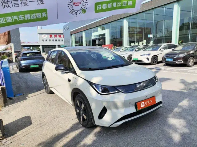 BYD Dolphin — Фото автомобиля 2