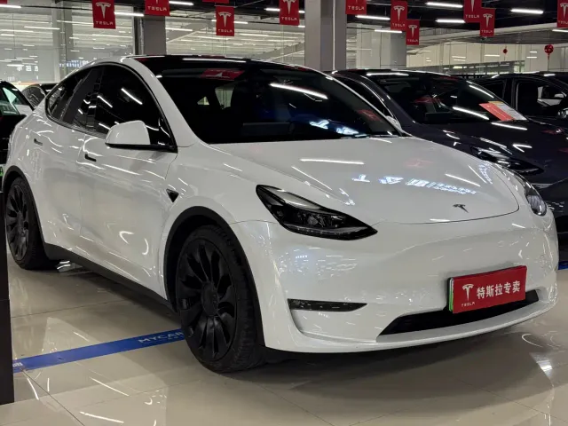 Tesla Model Y — Фото автомобиля 3