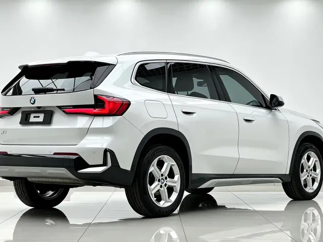 BMW X1 — Фото автомобиля 6