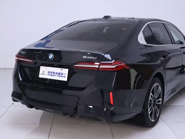 BMW 5 Series — Фото автомобиля 8