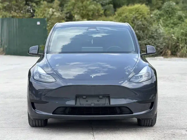 Tesla Model Y — Фото автомобиля 2