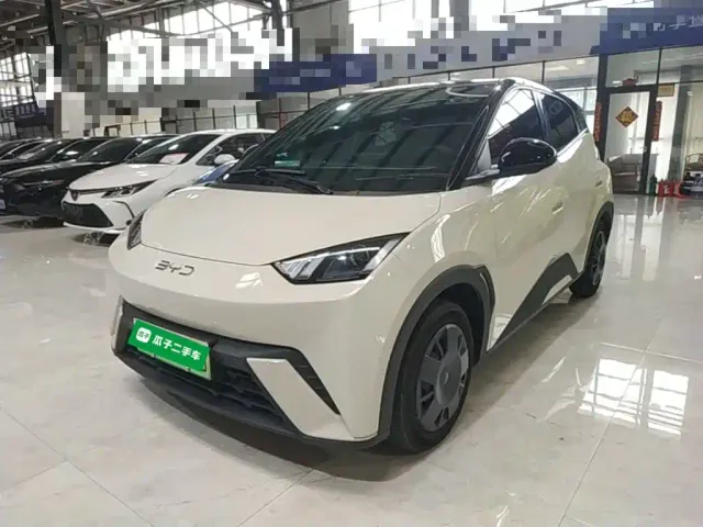 Фотография автомобиля — BYD Seagull