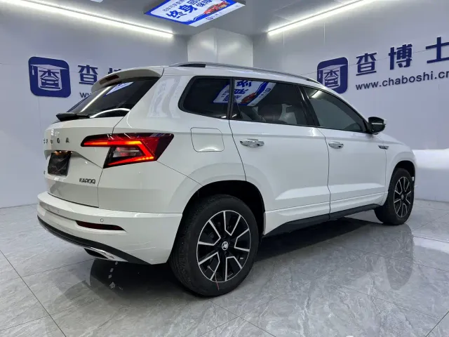 Skoda Karoq — Фото автомобиля 17