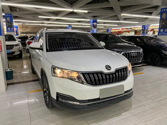 Skoda Kamiq — Фото автомобиля 3