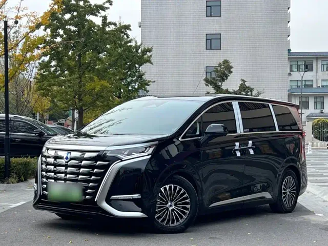 Фотография автомобиля — Denza D9