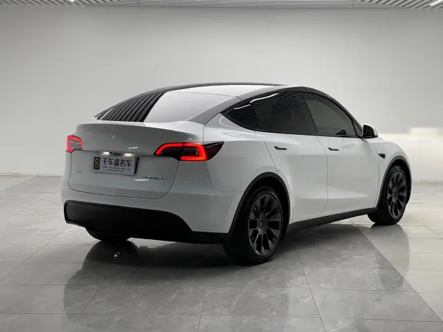 Tesla Model Y — Фото автомобиля 6