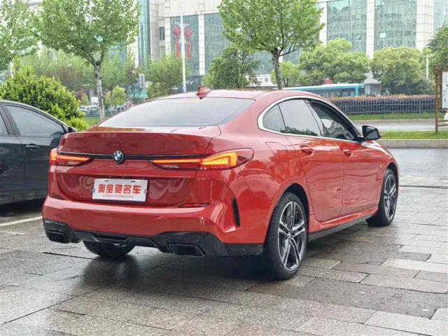 BMW 2 Series — Фото автомобиля 6