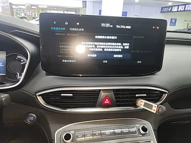 Hyundai Santa Fe — Фото автомобиля 12