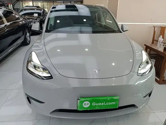 Tesla Model Y — Фото автомобиля 2