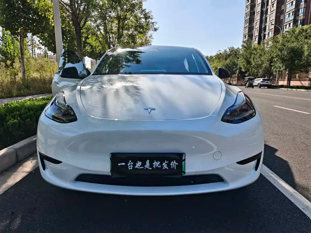 Tesla Model Y — Фото автомобиля 12