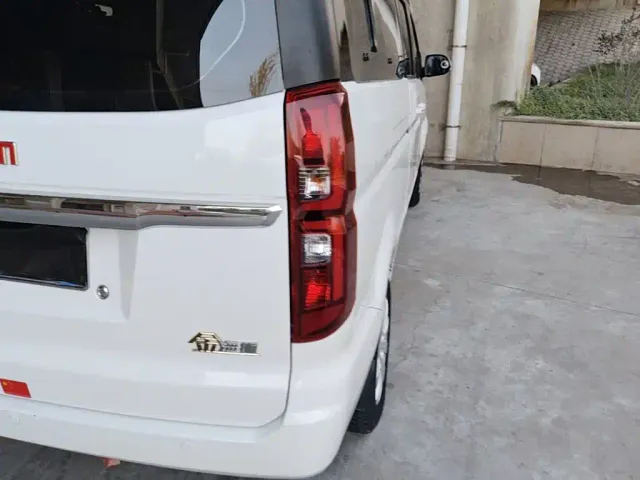 Jinbei Golden Sea Lion Classic — Фото автомобиля 7