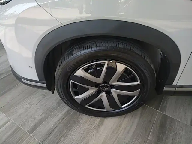 BYD Hai Shi 07 DM-i — Фото автомобиля 22