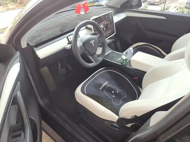 Tesla Model Y — Фото автомобиля 15