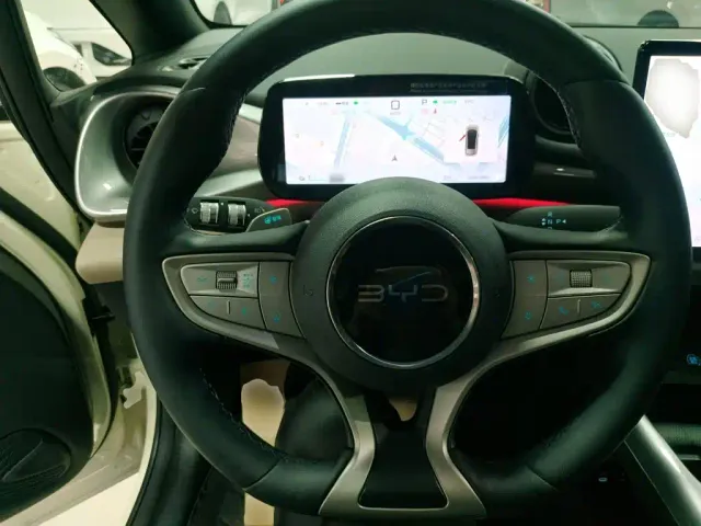BYD Dolphin — Фото автомобиля 10