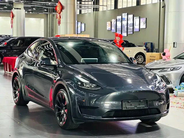 Tesla Model Y — Фото автомобиля 3