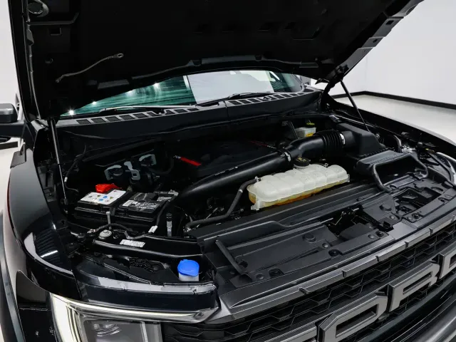 Ford Ford F-150 Raptor 2022 3.5T Raptor — Фото автомобиля 21