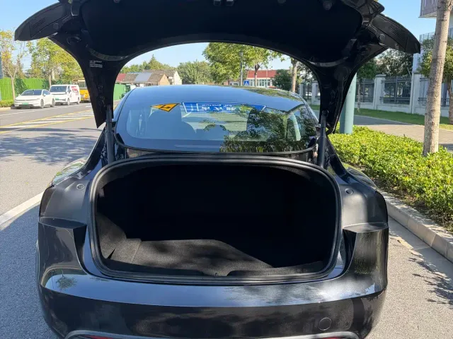 Tesla Model 3 — Фото автомобиля 13