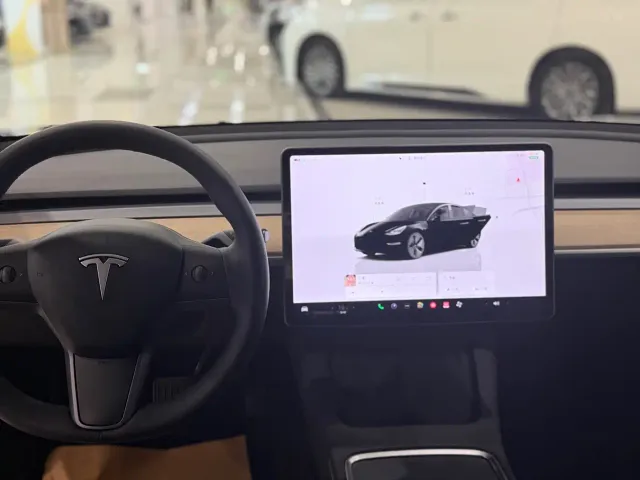 Tesla Model 3 — Фото автомобиля 6