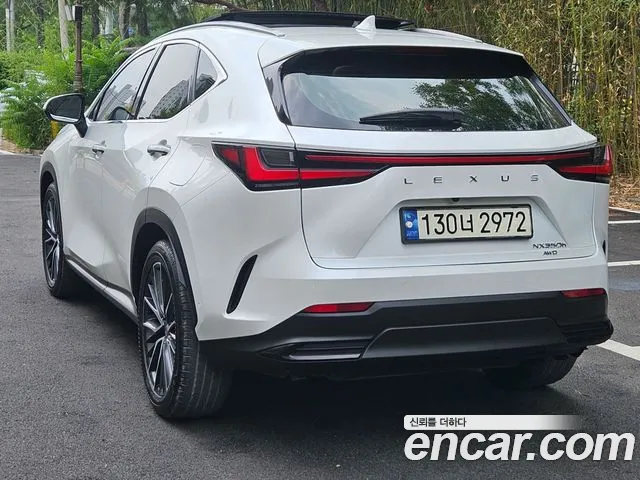 Lexus NX — Фото автомобиля 6