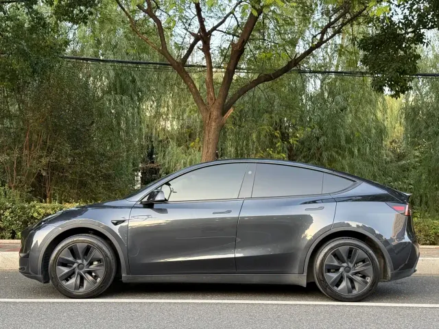Tesla Model Y — Фото автомобиля 2