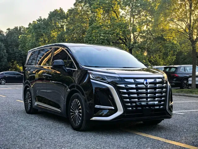 Denza Denza D9 2024 DM-i 980 AWD Prestige — Фото автомобиля 3
