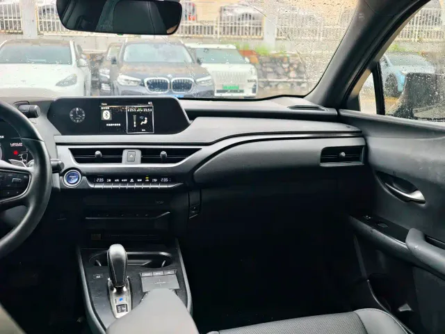 Lexus Lexus UX Electric 2020 300e Pure Enjoyment Edition — Фото автомобиля 20