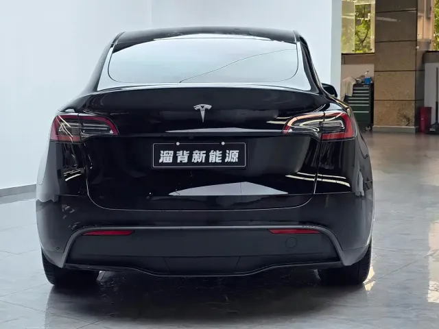Tesla Model Y — Фото автомобиля 15