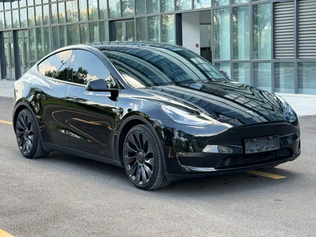 Tesla Model Y — Фото автомобиля 3