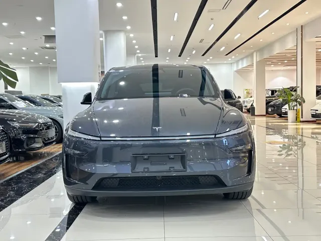 Tesla Model Y — Фото автомобиля 2