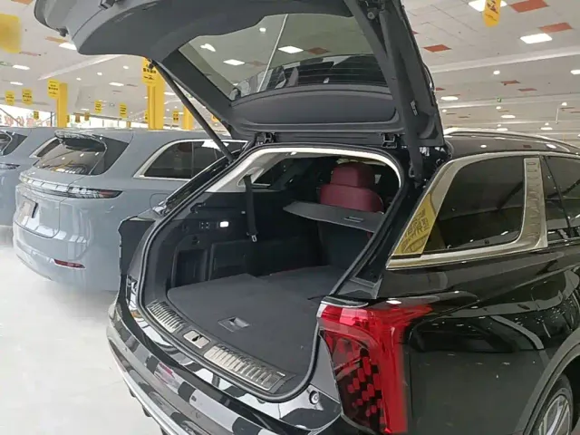 Hongqi E-HS9 — Фото автомобиля 18