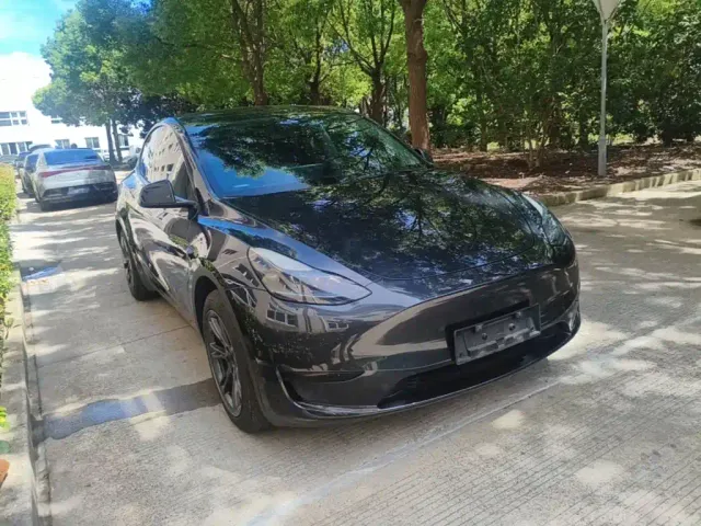 Tesla Model Y — Фото автомобиля 3