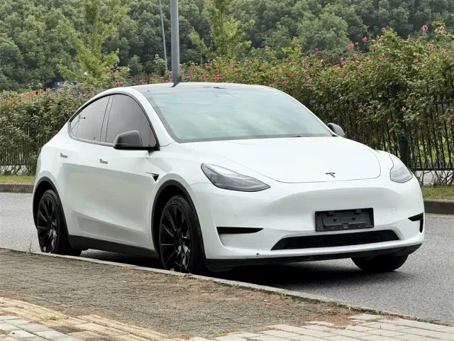 Tesla Model Y — Фото автомобиля 3