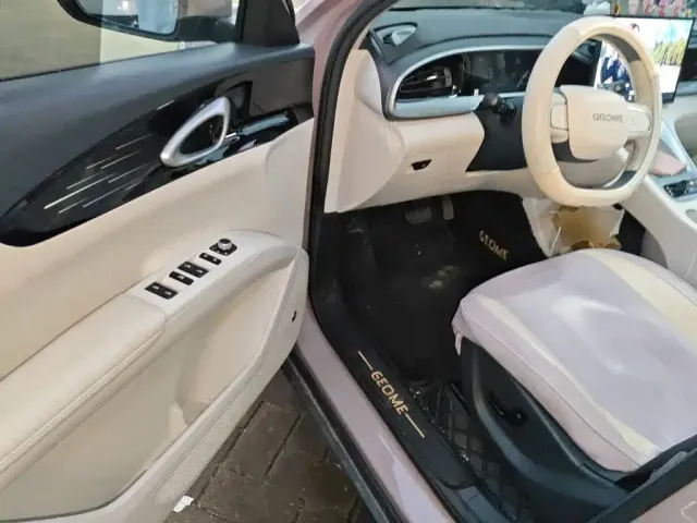Geely Starry Wish — Фото автомобиля 12