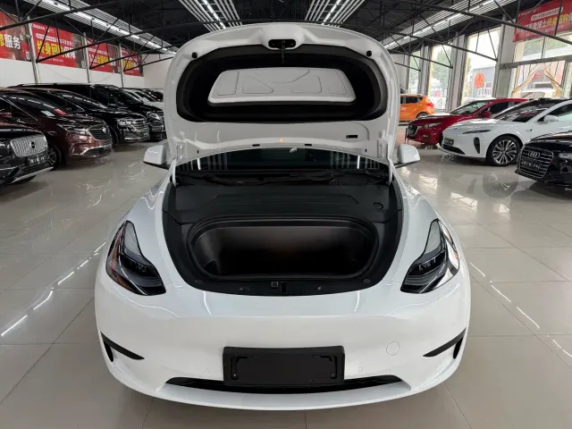 Tesla Model Y — Фото автомобиля 22