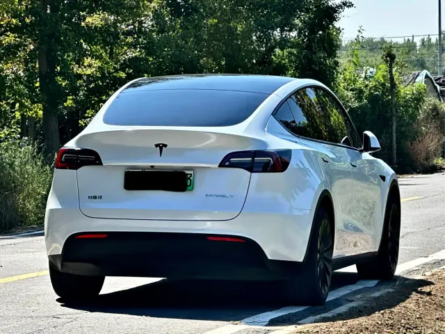 Tesla Model Y — Фото автомобиля 6